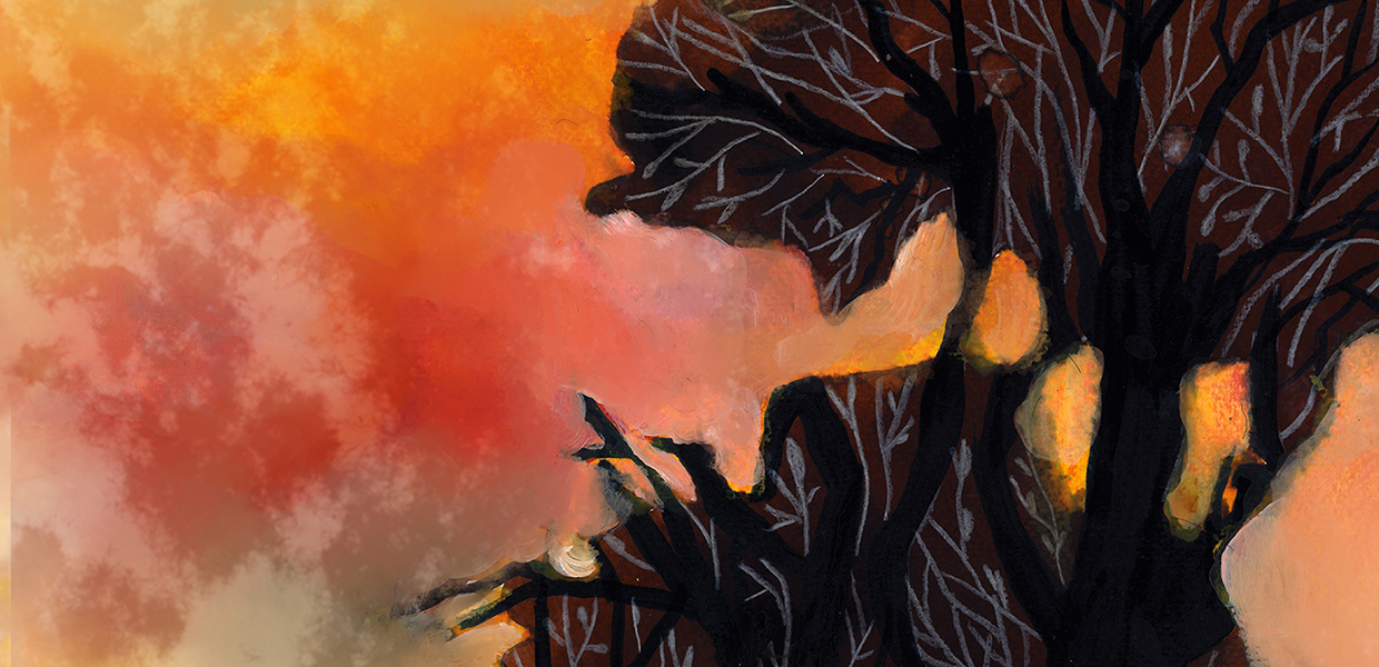 image - Feu la forêt