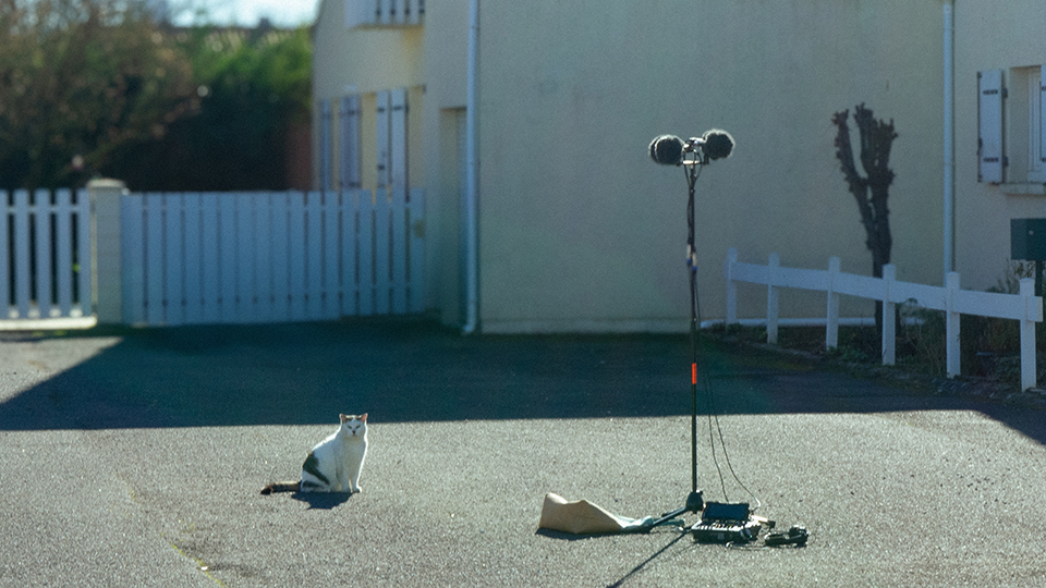 Image 2 le roi se meurt